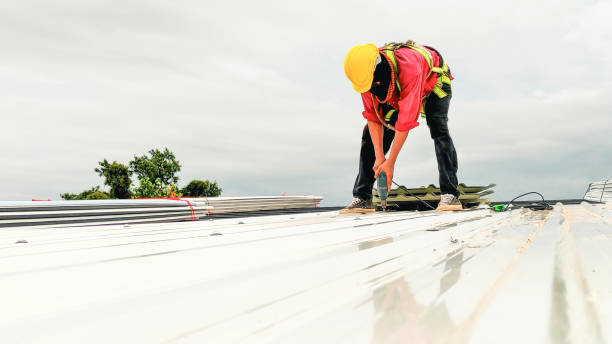 Best Roof Moss and Algae Removal  in Fairborn, OH
